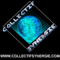 Portrait de collectif.synergie_831